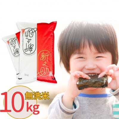 新潟県産 無洗米 新之助 10kg しんのすけ 令和7年産 [株式会社白熊]【018S043】