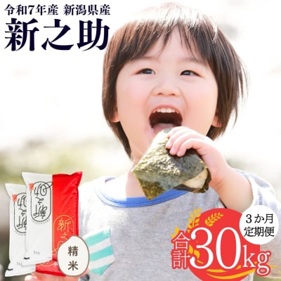 [定期便10kg×3か月] 新潟県産 新之助 計30kg [株式会社白熊]【054S001】