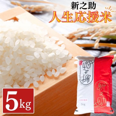 新之助人生応援米 5kg 令和7年産 新之助 白米 【012S079】