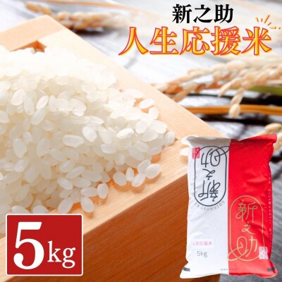 新之助人生応援米 5kg 令和8年産 新之助 白米 【012S079】