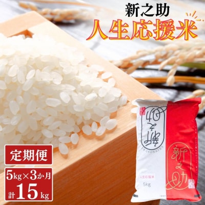 [定期便5kg×3か月] 新之助人生応援米 令和7年産 5kg 計15kg 新之助【035S013】