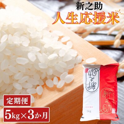 [定期便5kg×3か月] 新之助人生応援米 令和8年産 5kg 計15kg 新之助【035S013】