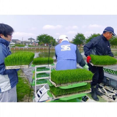 [定期便5kg×3か月] 新之助人生応援米 令和7年産 5kg 計15kg 新之助【035S013】