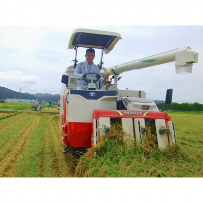 [定期便5kg×3か月] 新之助人生応援米 令和7年産 5kg 計15kg 新之助【035S013】