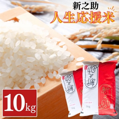 新之助人生応援米10kg(5kg×2) 令和7年産 新之助 白米 【024S033】