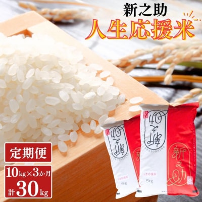 [定期便10kg×3か月] 新之助人生応援米 令和7年産 計30kg 新之助 【070S009】