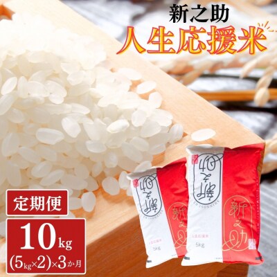 定期便 10kg(5kg×2)×3か月 新之助人生応援米 令和8年産 計30kg【070S009】
