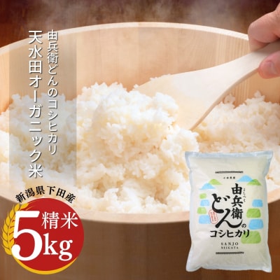 先行受付 天水田で育った コシヒカリ 5kg 新潟県産  [由兵衛どん] 【012S080】