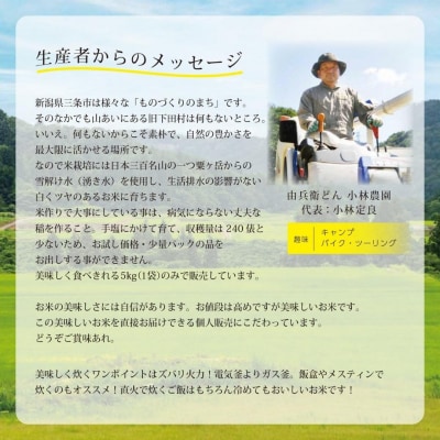 天水田で育った コシヒカリ 5kg 新潟県産  [由兵衛どん] 【012S080】