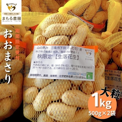 先行受付 生落花生「おおまさり」 1kg(500g×2袋)[まもる農園] 【010S204】