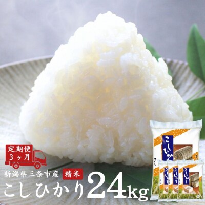 [定期便] コシヒカリ 8kg×3か月 令和7年産 精米 [外山敏雄商店]【035S014】