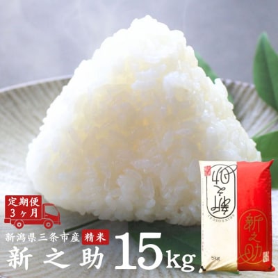 [定期便] 新之助 5kg×3か月 令和7年産 精米 [外山敏雄商店]【030S049】