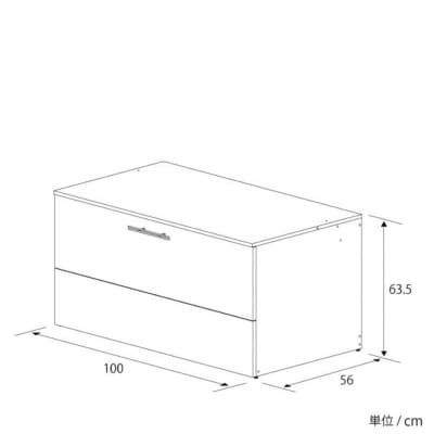 オールガルバゴミ保管庫 幅100cm 容量274L 屋外ストッカー [足立製作所]【059S013】