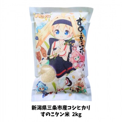 すのこタン。米 2kg 新潟県三条市産 コシヒカリ 非BLコシヒカリ 令和7年産 【010S423】