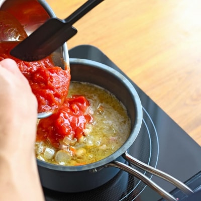 TE2NABE ソースパン16cm 鉄鍋 無水調理 錆びにくい鍋 [プリンス工業]【021S041】