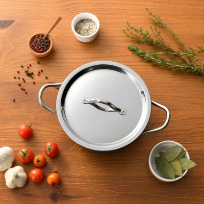 TE2NABE シチューポット18cm 鉄鍋 錆びにくい鍋  [プリンス工業] 【025S039】