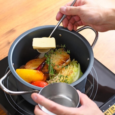 TE2NABE シチューポット18cm 鉄鍋 錆びにくい鍋  [プリンス工業] 【025S039】