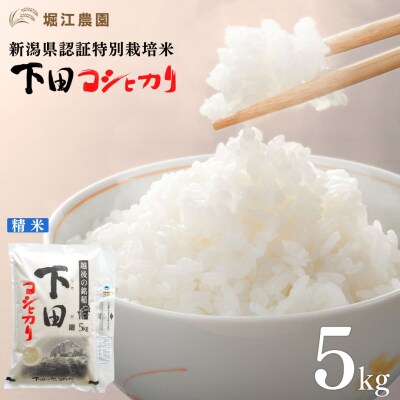 新潟県認証特別栽培米 下田コシヒカリ 5kg 令和7年産 [堀江農園]【011S161】