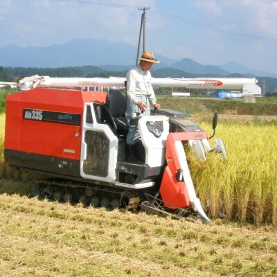 新潟県認証特別栽培米 下田コシヒカリ 5kg 令和7年産 [堀江農園]【011S161】