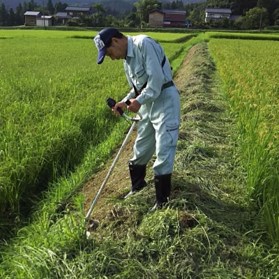 先行受付 新潟県認証特別栽培米 下田コシヒカリ 5kg 令和8年産 [堀江農園]【011S161】