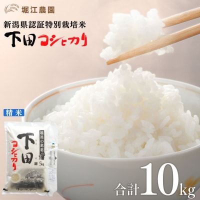 新潟県認証特別栽培米 下田コシヒカリ 10kg 令和7年産 [堀江農園]【020S050】