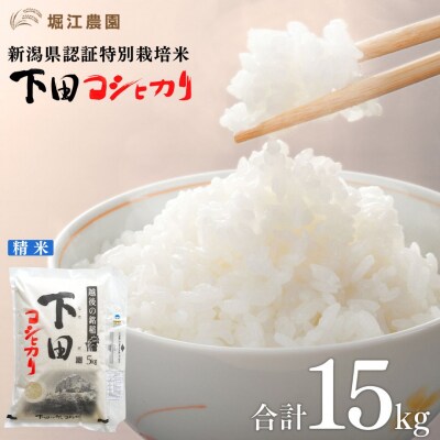 新潟県認証特別栽培米 下田コシヒカリ 15kg 令和7年産 [堀江農園]【030S050】
