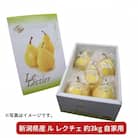 先行受付 ル レクチェ 自家用 3kg 新潟県産 洋梨 ル・レクチェ[岩福農園] 【010P026】