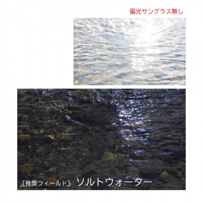 [ベルモント] 偏光グラス Soleil ブルーグレー(木目) マゼラン【088S009】