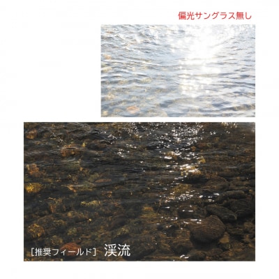 [ベルモント]偏光グラス Soleil ブルーグレー(ツヤ) グラファイトグレー【088S007】