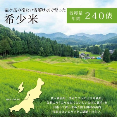 [定期便] 天水田で育った コシヒカリ 5kg ×3か月 新潟県産 【035S015】