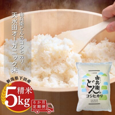 先行受付 [定期便] 天水田で育った コシヒカリ 5kg ×6か月 新潟県産 【070S010】