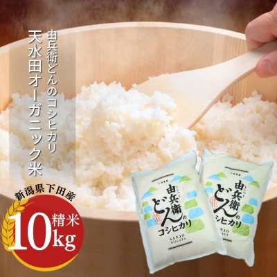 �V���c�ň���� �R�V�q�J�� 10kg �V�����Y [�R���q�ǂ�] �y024S034�z