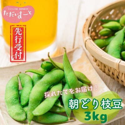 先行受付 採れたてをお届け!朝どり枝豆 3kg(1kg×3袋)令和8年度 新潟県産【015S114】