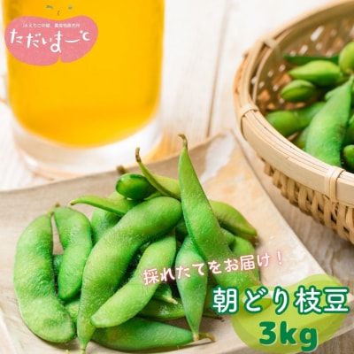 採れたてをお届け!朝どり枝豆 3kg(1kg×3袋)令和8年度 新潟県産【015S114】