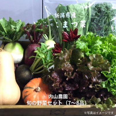 旬の野菜セット(7～8品) 季節の野菜 詰合せ [内山農園]【011S166】
