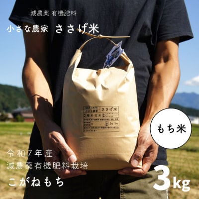 先行受付 減農薬有機肥料栽培 新潟県産こがねもち 3kg もち米 令和7年産【010S439】