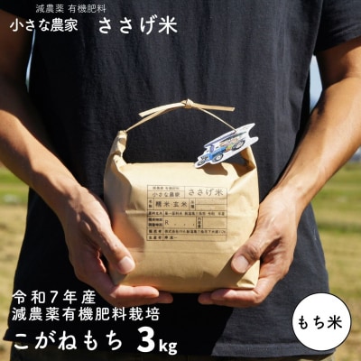 先行受付 減農薬有機肥料栽培 新潟県産こがねもち 3kg もち米 令和7年産【010S439】