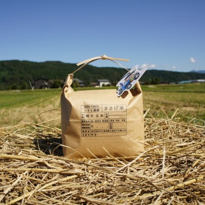 先行受付 減農薬有機肥料栽培 新潟県産こがねもち 3kg もち米 令和7年産【010S439】