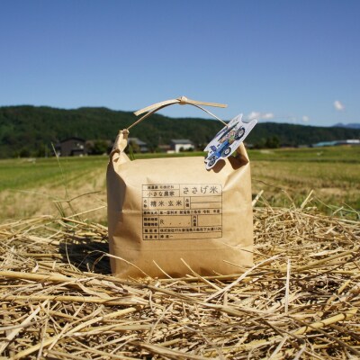 減農薬有機肥料栽培 新潟県産こがねもち 3kg もち米 令和8年産【010S439】