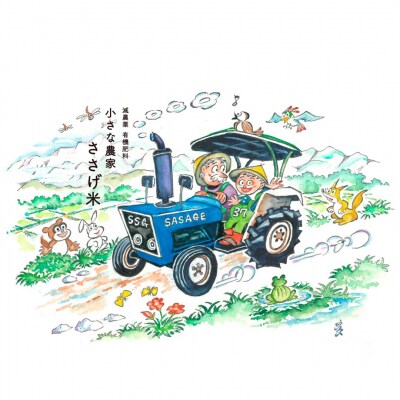 減農薬有機肥料栽培 新潟県産こがねもち 3kg もち米 令和8年産【010S439】