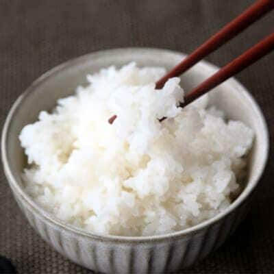 先行受付 新潟県産コシヒカリ従来品種5kg 新米 食味検査で高評価 [飯塚農園]【010S440】