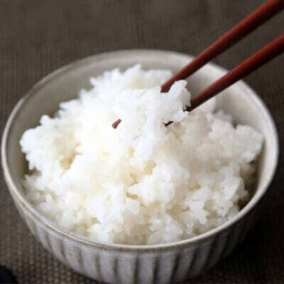 先行受付 新潟県産コシヒカリ従来品種10kg 新米 食味検査で高評価[飯塚農園]【020S057】