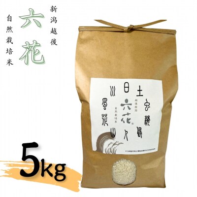 新潟越後 自然栽培米コシヒカリ 5kg 令和7年産米 有機JAS認証【017S060】
