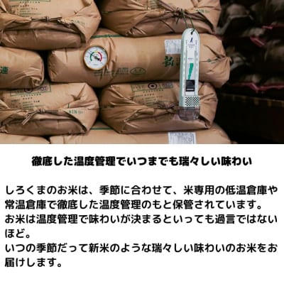 新潟県産ブレンド米 10kg(5kg×2袋) 令和6年産米 精米 [株式会社白熊]【010S455】