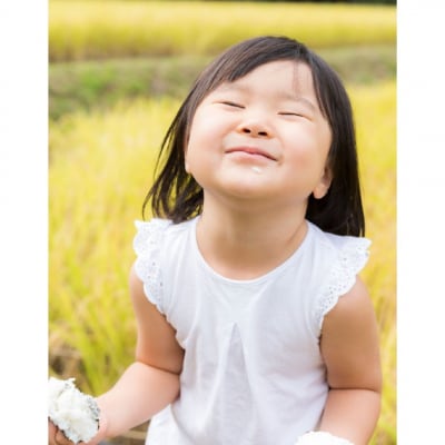 新潟県産ブレンド米 10kg(5kg×2袋) 令和6年産米 精米 [株式会社白熊]【010S455】