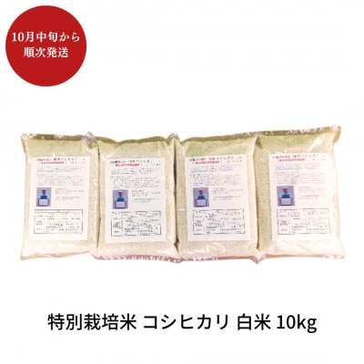 特別栽培米コシヒカリ 白米 10kg 令和7年産 [佐藤農産]【018S050】