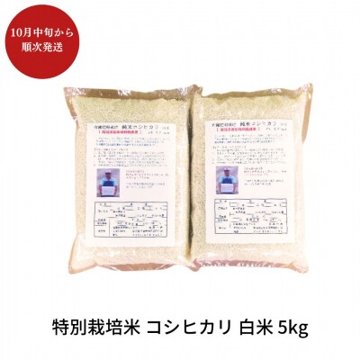 特別栽培米コシヒカリ 白米 5kg 令和7年産 [佐藤農産]【010S444】