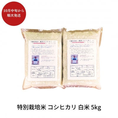先行予約 特別栽培米コシヒカリ 白米 5kg 令和8年産 [佐藤農産]【010S444】