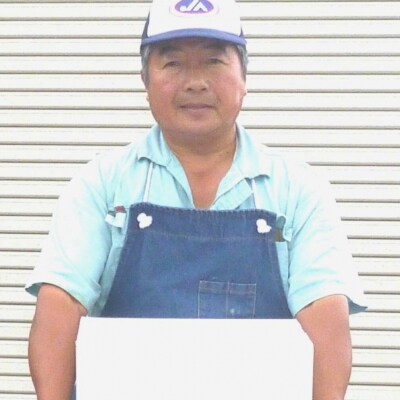 特別栽培米コシヒカリ 白米 5kg 令和7年産 [佐藤農産]【010S444】
