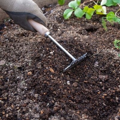 GATO(ガトー) ガーデニング用熊手 [浅野木工所] 【010S460】